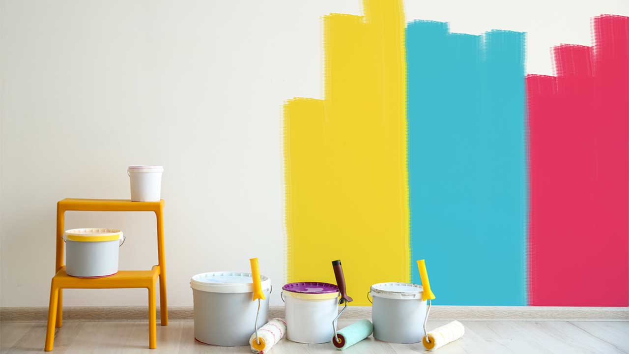 Bozkurt iç cephe boyama